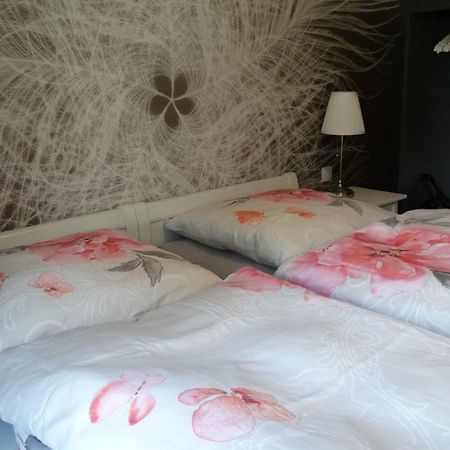 Appartement Buntspecht à Braunlage Extérieur photo